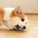 Bolinha Pet Inteligente com Rolamento Automático - Diversão e Exercício para Seu Pet