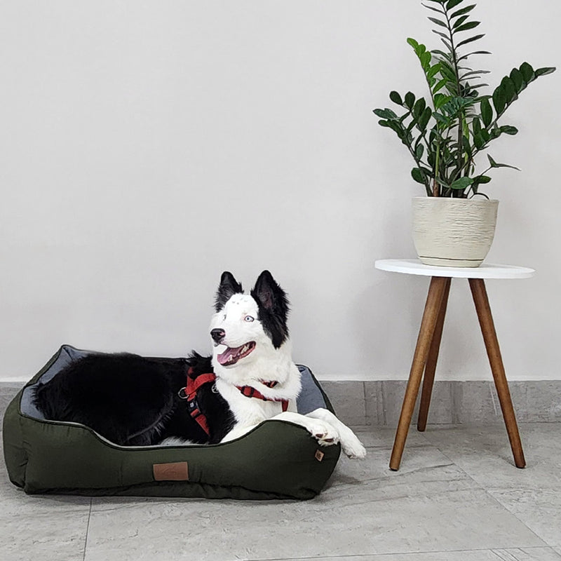 Cama Ortopédica Confort Pet - Conforto de Verdade para Quem Você Ama comoFamília