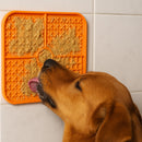 Tapete Lambe Lambe - Uma Delícia de Amor e Cuidado para o Seu Pet