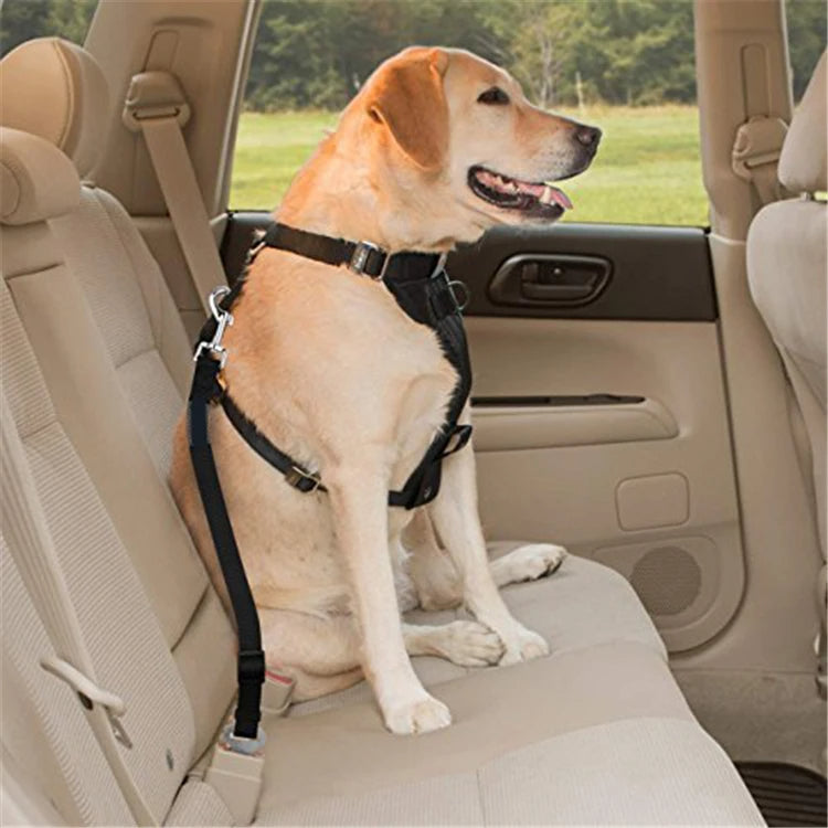 Cinto de Segurança Universal para Pets