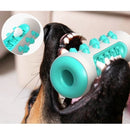Brinquedo Escova Dental para Dog: Dentes Limpos e Gengivas Saudáveis Enquanto Ele Brinca! 10% OF COM CUPOM BEMVINDO10