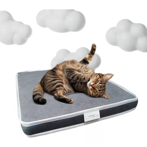 Colchão Ortopédico para Pets - Conforto e Estilo Para Seu Melhor Amigo