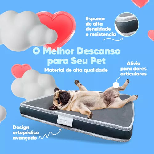 Colchão Ortopédico para Pets - Conforto e Estilo Para Seu Melhor Amigo