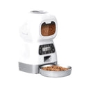 Alimentador Comedouro Automático