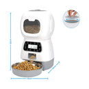 Alimentador Comedouro Automático