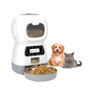 Alimentador Comedouro Automático