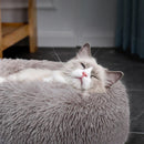 Cama Nuvem Pet - Veludo Luxuoso - Conforto