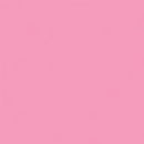 Cinto de Segurança Universal para Pets