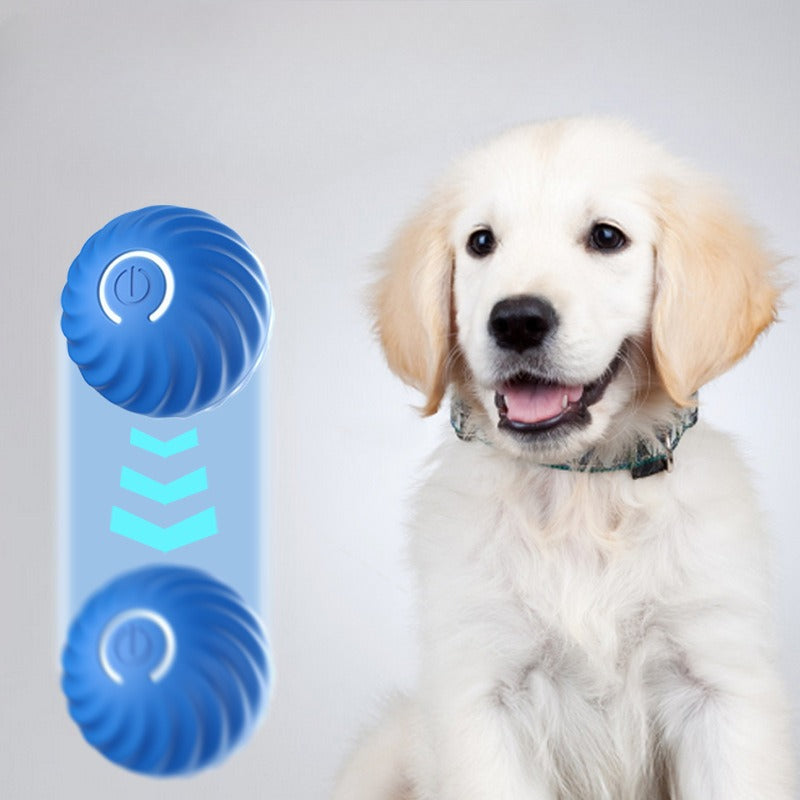 Bolinha Automática com Rolamento Inteligente - Diversão, Estímulo e Movimento