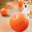 Bolinha Automática com Rolamento Inteligente - Diversão, Estímulo e Movimento